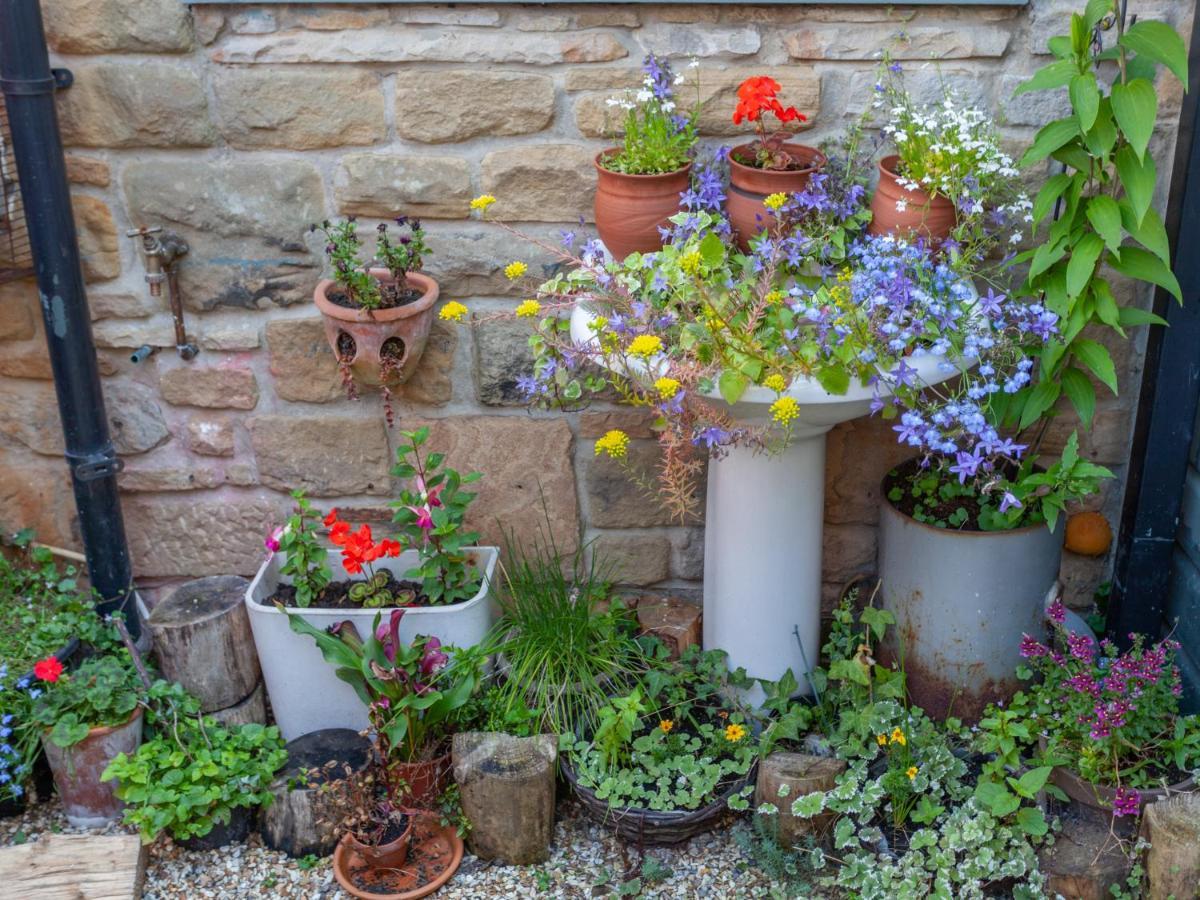 Shaftoe'S Bed And Breakfast Haydon Bridge エクステリア 写真